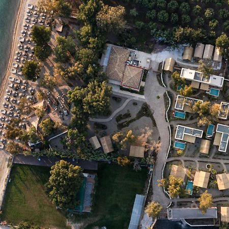 Ergon Beach House Nikiti Exteriér fotografie